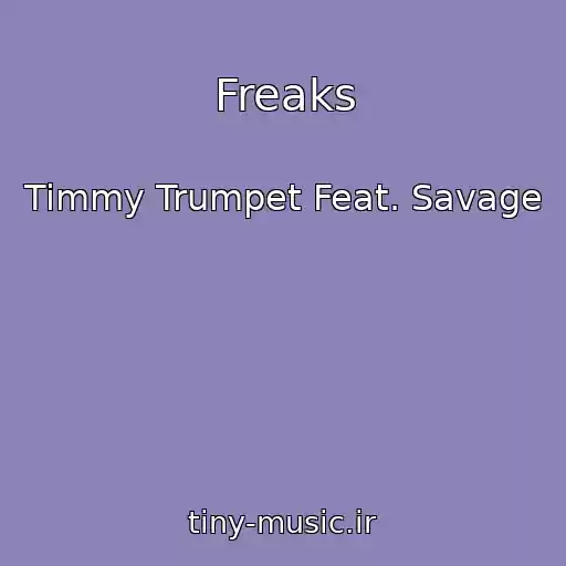 کاور آهنگ Freaks از Timmy Trumpet Feat. Savage