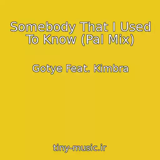 کاور آهنگ Somebody That I Used To Know (Pal Mix) از Gotye Feat. Kimbra