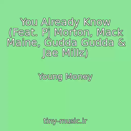 کاور آهنگ You Already Know (Feat. Pj Morton, Mack Maine, Gudda Gudda & Jae Millz) از Young Money