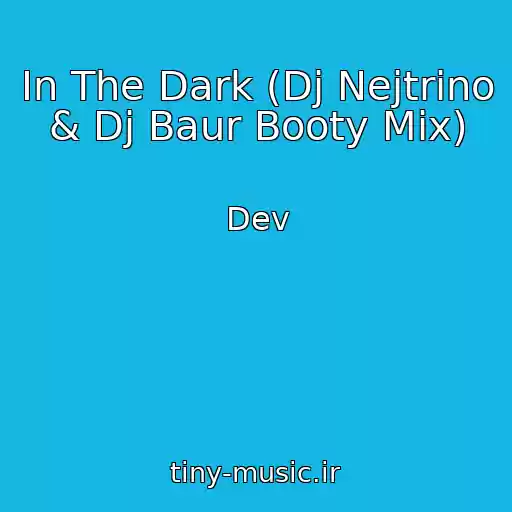 کاور آهنگ In The Dark (Dj Nejtrino & Dj Baur Booty Mix) از Dev