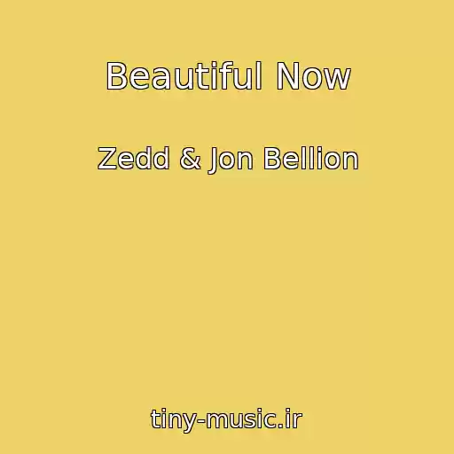 کاور آهنگ Beautiful Now از Zedd & Jon Bellion