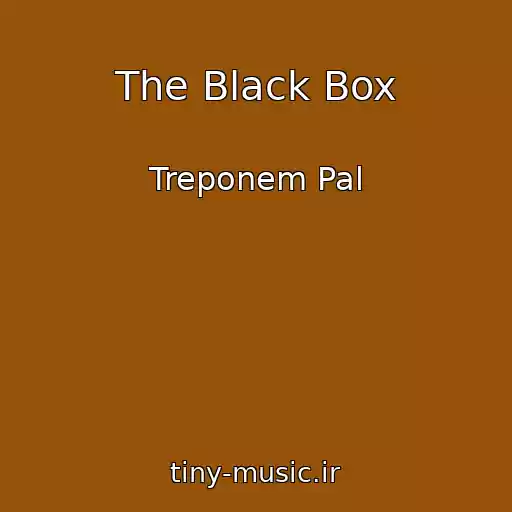 کاور آهنگ The Black Box از Treponem Pal