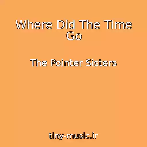 کاور آهنگ Where Did The Time Go از The Pointer Sisters