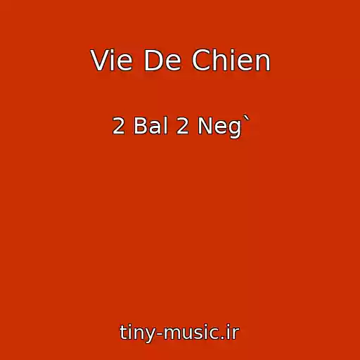 کاور آهنگ Vie De Chien از 2 Bal 2 Neg`