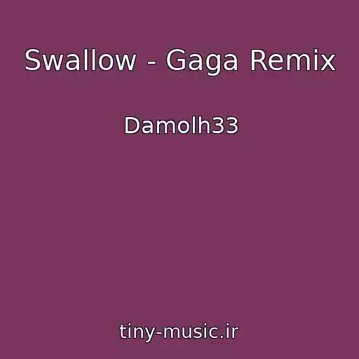 کاور آهنگ Swallow - Gaga Remix از Damolh33