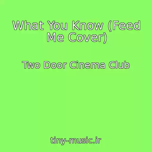 کاور آهنگ What You Know (Feed Me Cover) از Two Door Cinema Club