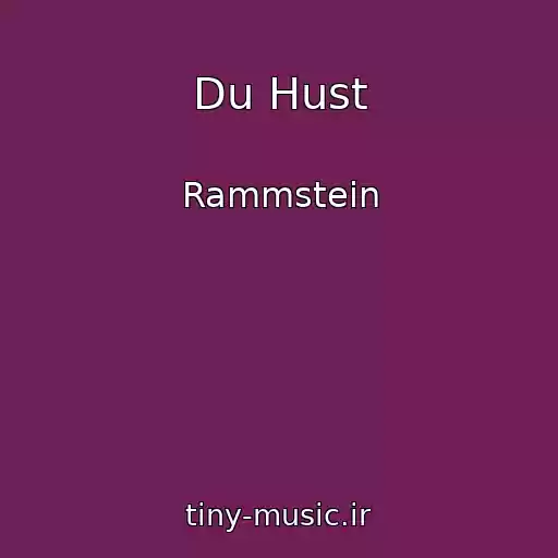 کاور آهنگ Du Hust از Rammstein