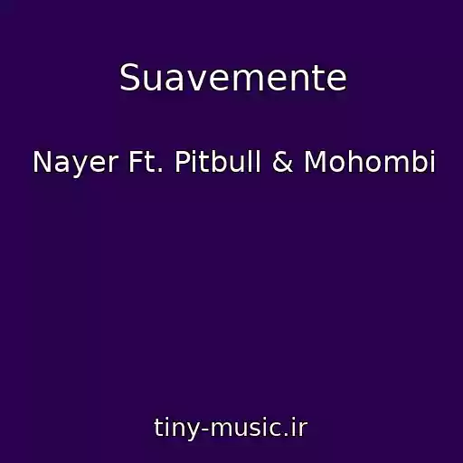 کاور آهنگ Suavemente از Nayer Ft. Pitbull & Mohombi