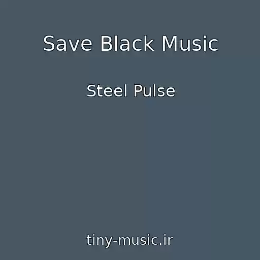 کاور آهنگ Save Black Music از Steel Pulse