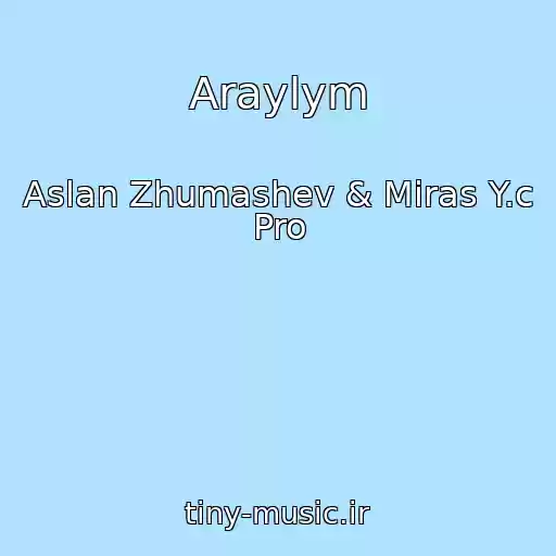 کاور آهنگ Araylym از Aslan Zhumashev & Miras Y.c Pro