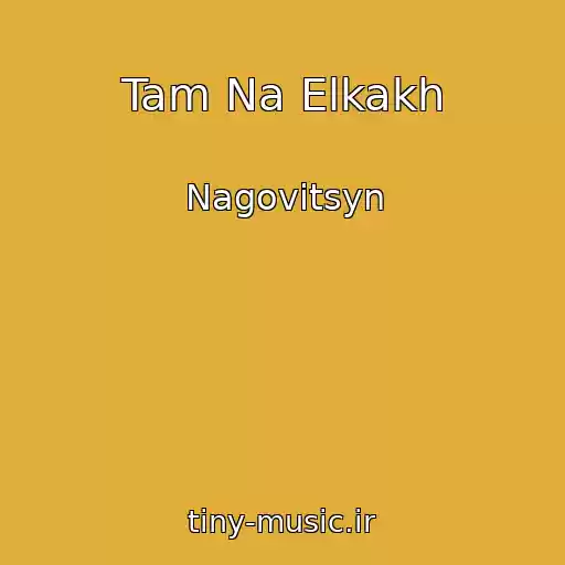 کاور آهنگ Tam Na Elkakh از Nagovitsyn
