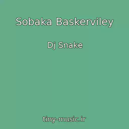 کاور آهنگ Sobaka Baskerviley از Dj Snake