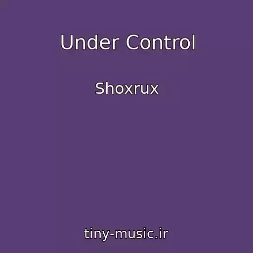 کاور آهنگ Under Control از Shoxrux