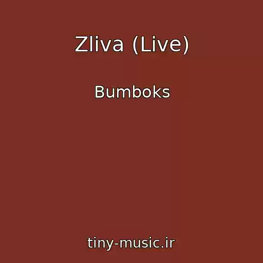کاور آهنگ Zliva (Live) از Bumboks