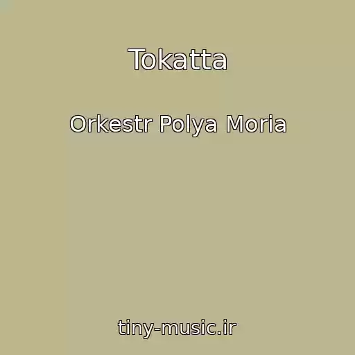کاور آهنگ Tokatta از Orkestr Polya Moria