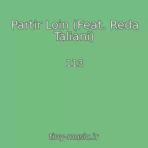 کاور آهنگ Partir Loin (Feat. Reda Taliani) از 113