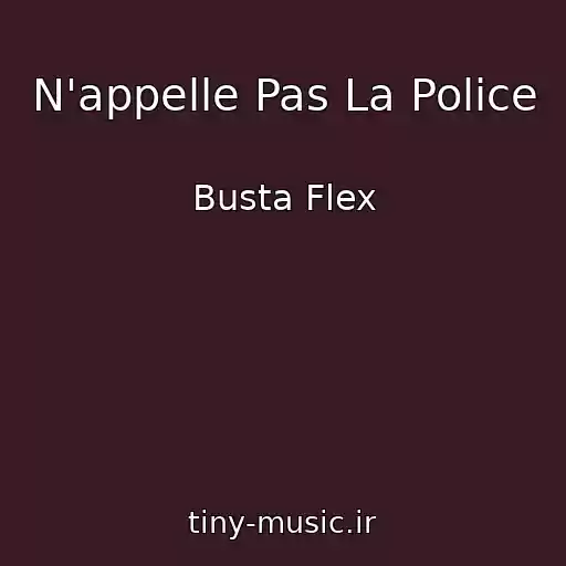 کاور آهنگ N'appelle Pas La Police از Busta Flex