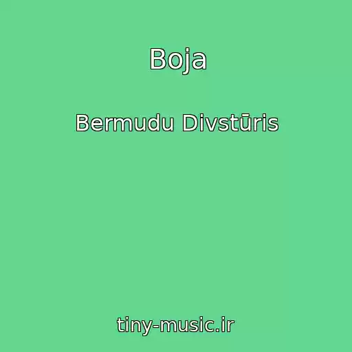 کاور آهنگ Boja از Bermudu Divstūris