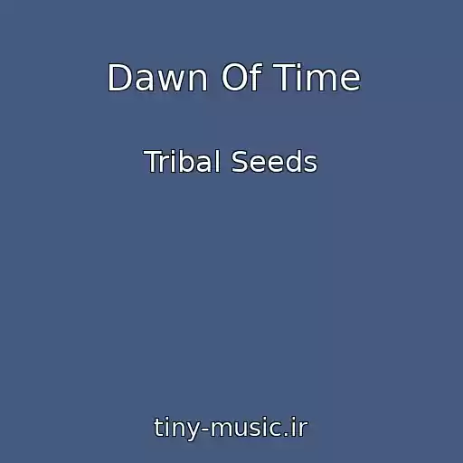 کاور آهنگ Dawn Of Time از Tribal Seeds