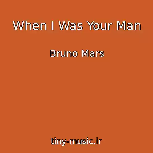 کاور آهنگ When I Was Your Man از Bruno Mars