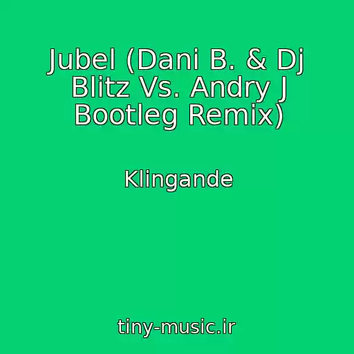 کاور آهنگ Jubel (Dani B. & Dj Blitz Vs. Andry J Bootleg Remix) از Klingande