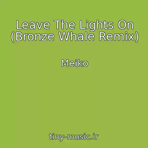 کاور آهنگ Leave The Lights On (Bronze Whale Remix) از Meiko