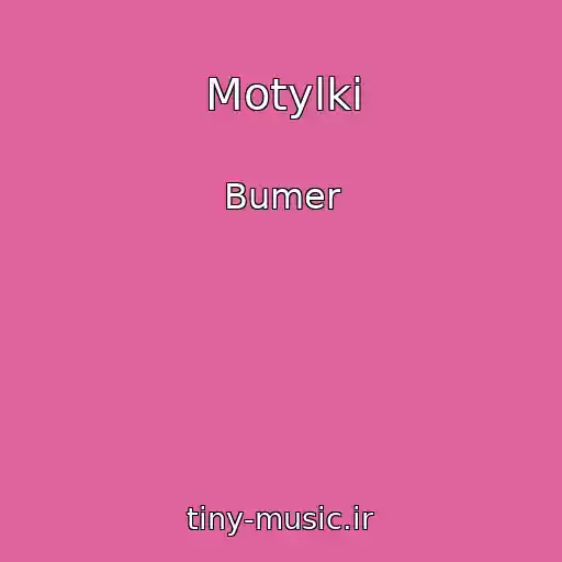 کاور آهنگ Motylki از Bumer