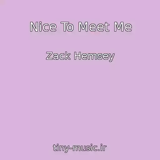 کاور آهنگ Nice To Meet Me از Zack Hemsey