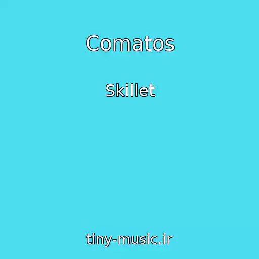 کاور آهنگ Comatos از Skillet