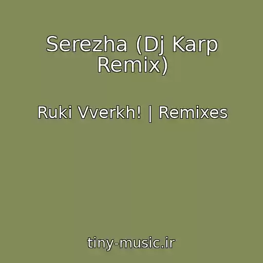 کاور آهنگ Serezha (Dj Karp Remix) از Ruki Vverkh! | Remixes