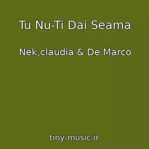 کاور آهنگ Tu Nu-Ti Dai Seama از Nek,claudia & De Marco