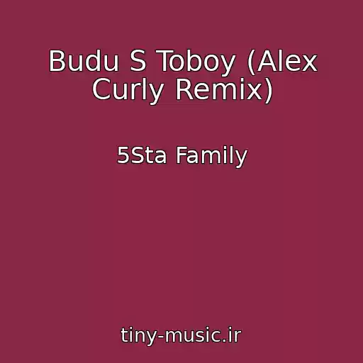 کاور آهنگ Budu S Toboy (Alex Curly Remix) از 5Sta Family