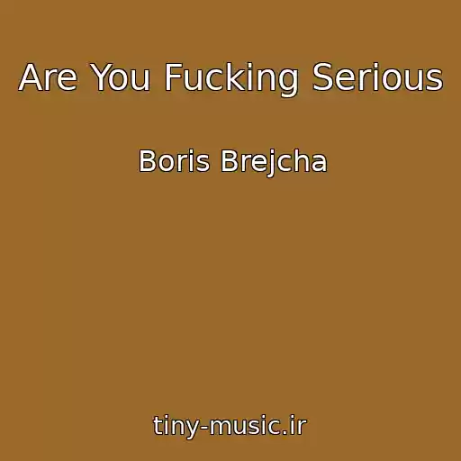 کاور آهنگ Are You Fucking Serious از Boris Brejcha
