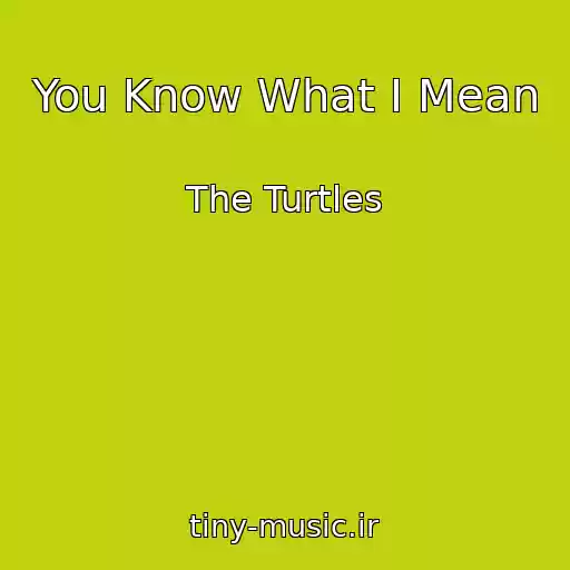 کاور آهنگ You Know What I Mean از The Turtles