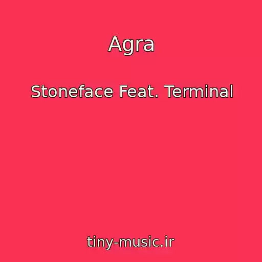 کاور آهنگ Agra از Stoneface Feat. Terminal
