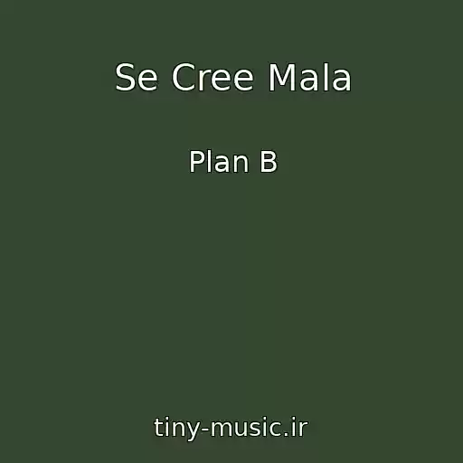 کاور آهنگ Se Cree Mala از Plan B