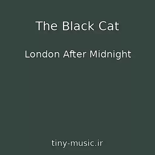 کاور آهنگ The Black Cat از London After Midnight
