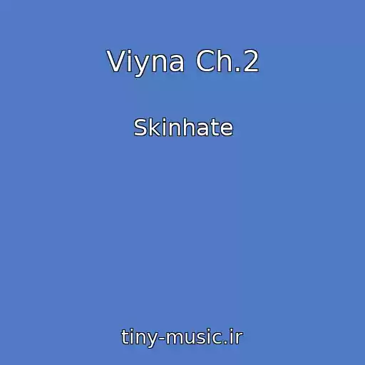 کاور آهنگ Vіyna Ch.2 از Skinhate