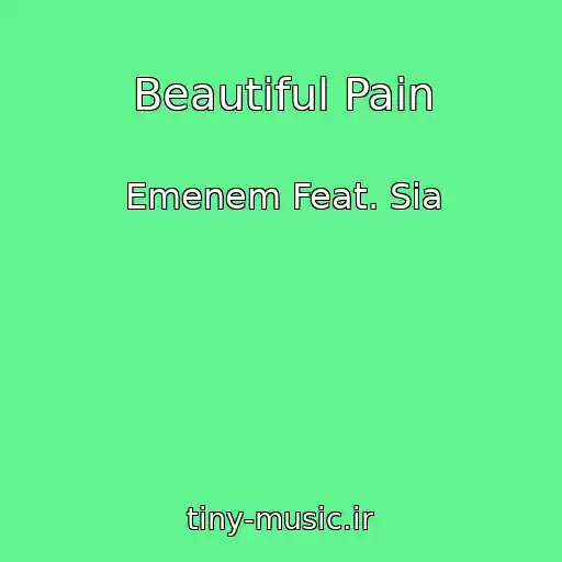 کاور آهنگ Beautiful Pain از Emenem Feat. Sia