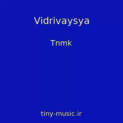 کاور آهنگ Vіdrivaysya از Tnmk