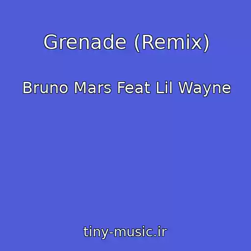 کاور آهنگ Grenade (Remix) از Bruno Mars Feat Lil Wayne