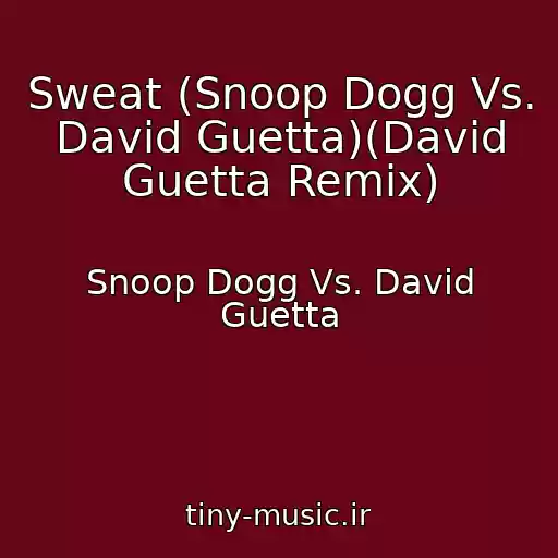 کاور آهنگ Sweat (Snoop Dogg Vs. David Guetta)(David Guetta Remix) از Snoop Dogg Vs. David Guetta