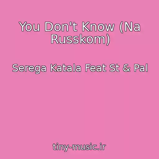 کاور آهنگ You Don't Know (Na Russkom) از Serega Katala Feat St & Pal