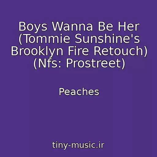 کاور آهنگ Boys Wanna Be Her (Tommie Sunshine's Brooklyn Fire Retouch) (Nfs: Prostreet) از Peaches