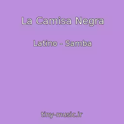 کاور آهنگ La Camisa Negra از Latino - Samba