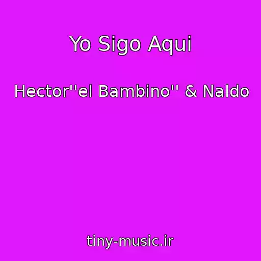 کاور آهنگ Yo Sigo Aqui از Hector''el Bambino'' & Naldo