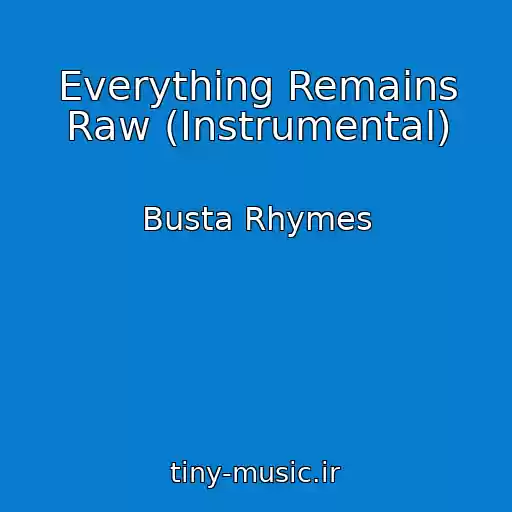 کاور آهنگ Everything Remains Raw (Instrumental) از Busta Rhymes