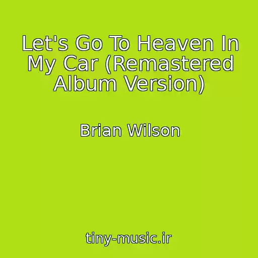 کاور آهنگ Let's Go To Heaven In My Car (Remastered Album Version) از Brian Wilson