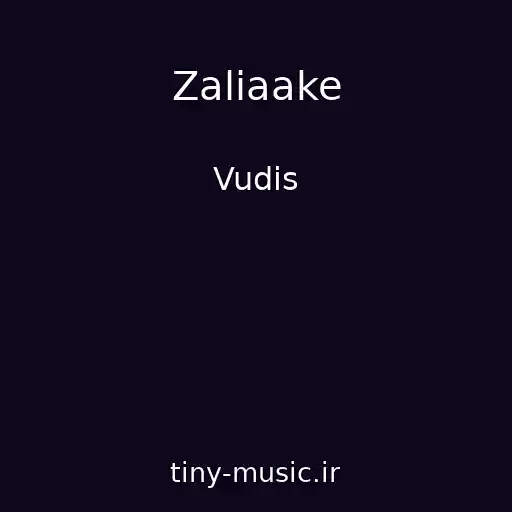 کاور آهنگ Zaliaake از Vudis