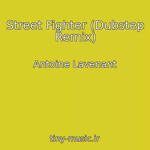 کاور آهنگ Street Fighter (Dubstep Remix) از Antoine Lavenant